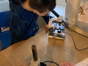 Students looking at water samples 2